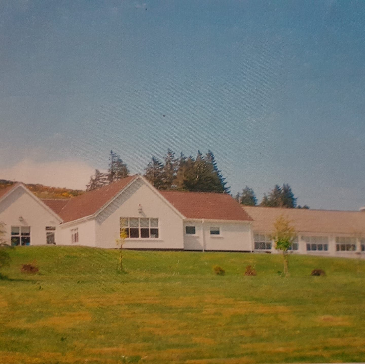 Children participating in sports day activities